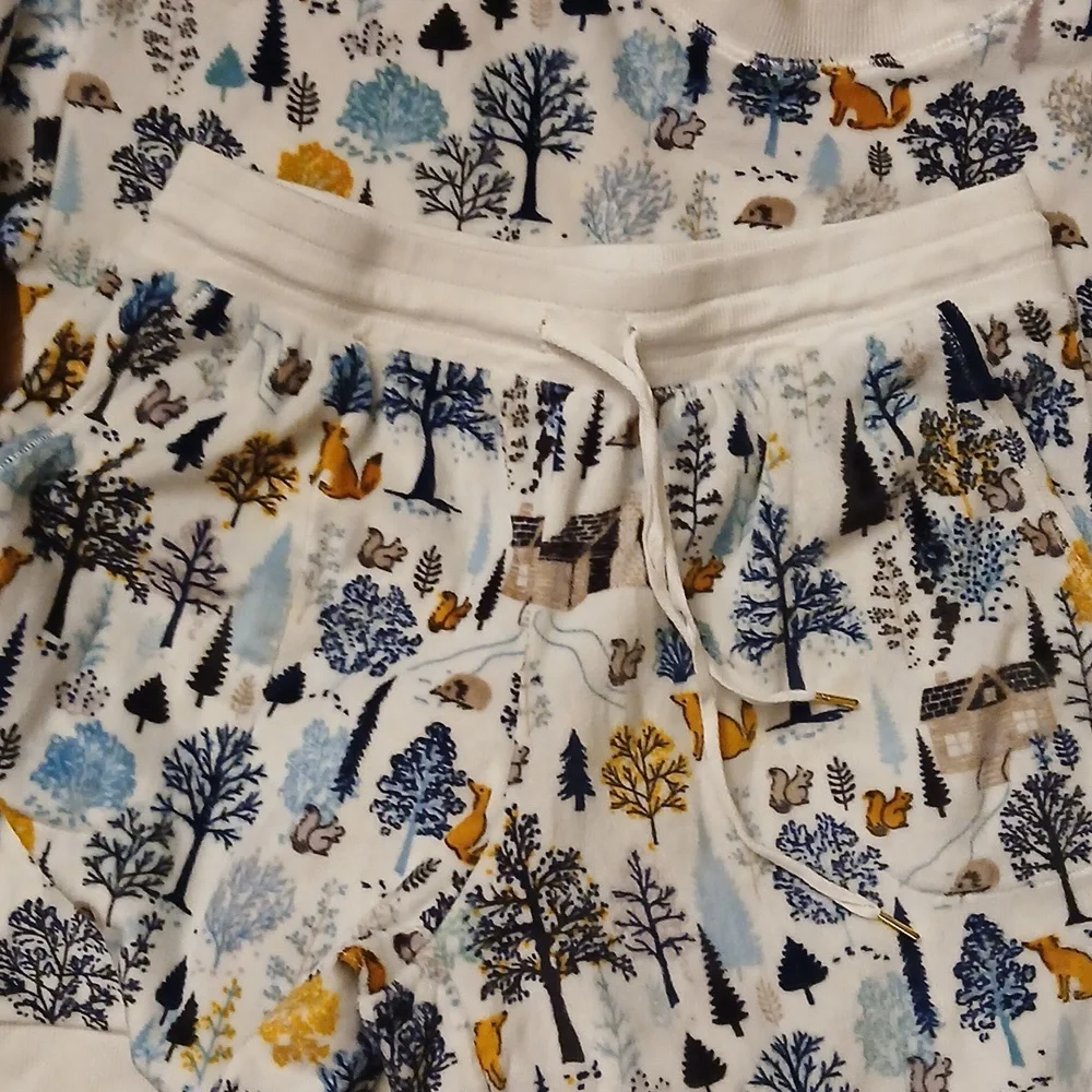 Secret Treasures pj's womens size small 4-6 Winter wonderland scene